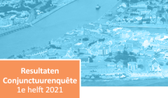 Results of the Business Cycle Survey for the first half year of 2021